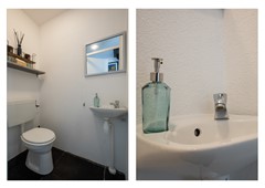 Paired Photo 1.jpg